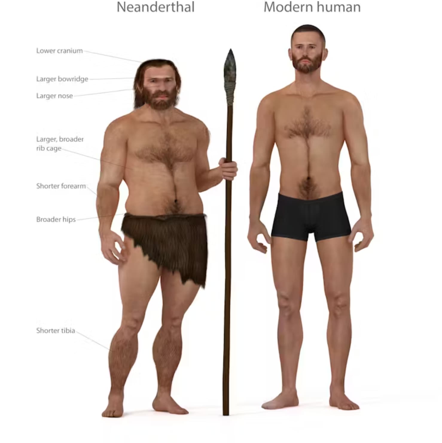 21 Facts That Disprove Everything We Thought We Knew About Neanderthals